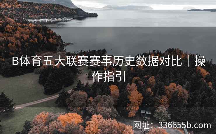 B体育五大联赛赛事历史数据对比|操作指引
