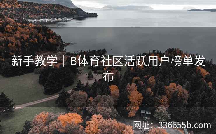 新手教学|B体育社区活跃用户榜单发布