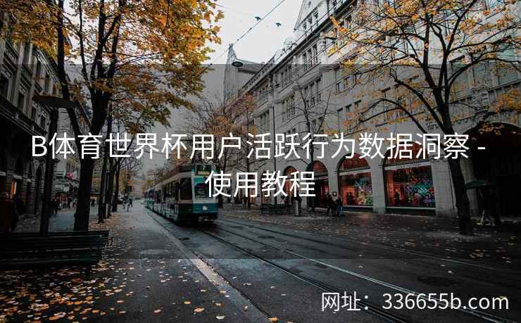 B体育世界杯用户活跃行为数据洞察 - 使用教程